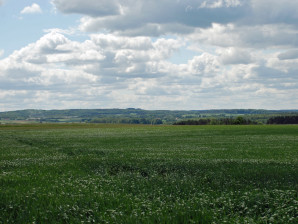 DSC_0115