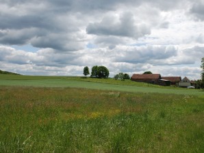 DSC_0123