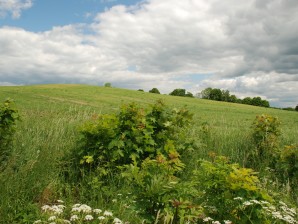 DSC_0130