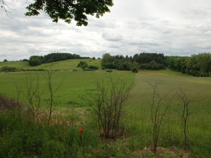 DSC_0142