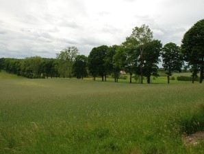 DSC_0143