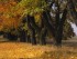 Herbst in Masuren, Foto: Polska Organizacja Turystyczna