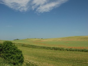 dsc_0681